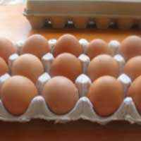 ���е���